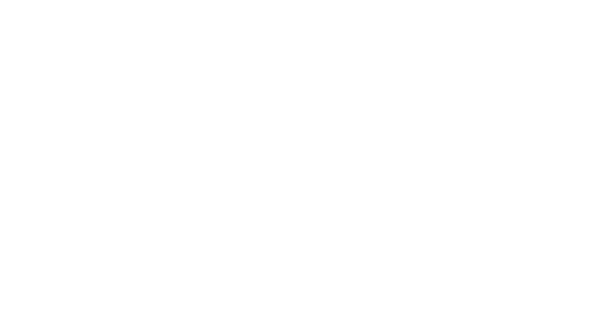 netex