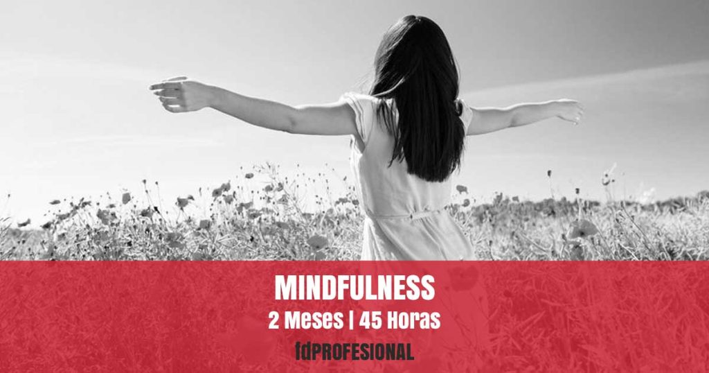 curso mindfulness